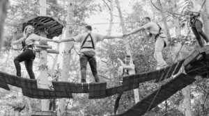 Team building, per diventare più complici e aumentare il successo dell'azienda